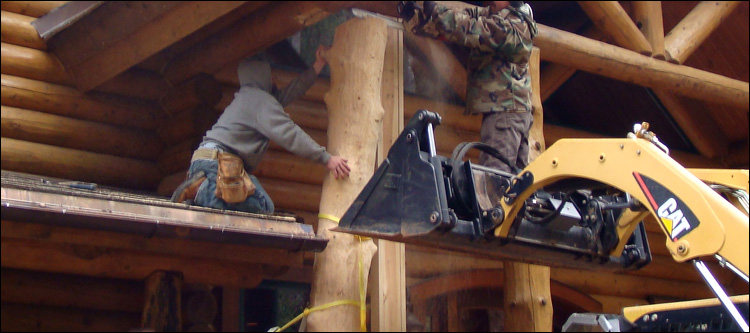 Log Home Log Replacement  Greenville County,  South Carolina