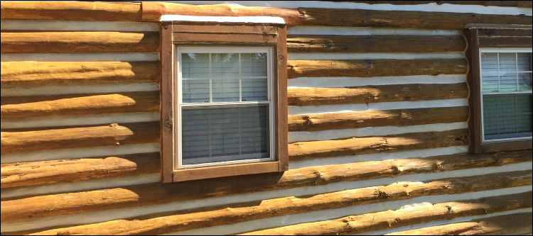 Log Home Whole Log Replacement  Greenville County,  South Carolina